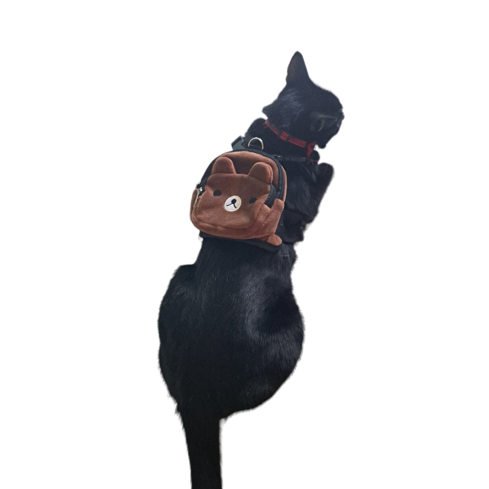 Pet dog backpack